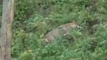 Les Nouvelles VD du 02.12.09