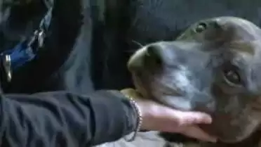 Les Nouvelles VD du 14.12.09