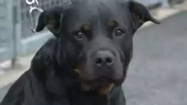 Les Nouvelles VD du 18.12.09