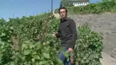 La Télé en campagne du 08.09.09