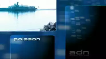 Autour d&#039;un nom - Cully