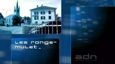 Autour d&#039;un nom - Echallens