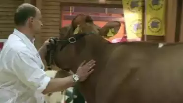 C&#039;est arrivé près de chez vous - Expo Bulle 2010