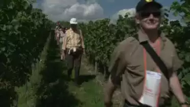 C&#039;est arrivé près de chez vous - Balade au fil du goût