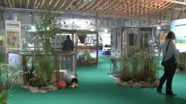 C&#039;est arrivé près de chez vous - Foire Fribourg