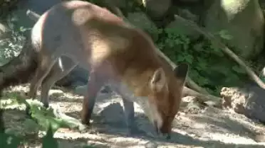 C&#039;est arrivé près de chez vous - Parc Zoologique La Garenne