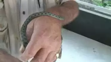 C'est l'été à La Télé du 19-07-10 - Lac Léman