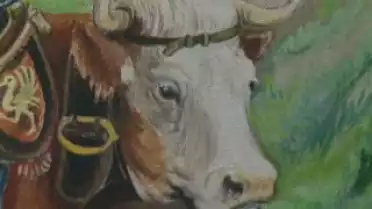 C&#039;est l&#039;été à La Télé du 27-07-10 - La Jogne