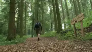 C&#039;est l&#039;été à La Télé du 02-08-10 - Bois du Jorat