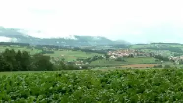 C'est l'été à La Télé du 05-08-10 - Romont