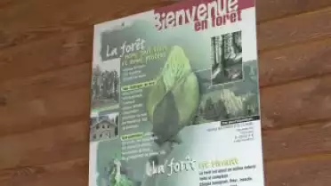 C&#039;est l&#039;été à La Télé du 05-08-10 - Romont