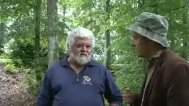 C'est l'été à La Télé du 05-08-10 - Romont