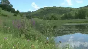 C&#039;est l&#039;été à La Télé du 06-08-10 - Aubonne
