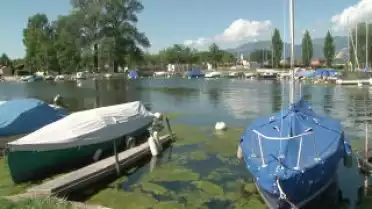 C&#039;est l&#039;été à La Télé du 09-08-10 - Yverdon-les-Bains