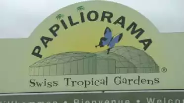 C&#039;est l&#039;été à La Télé du 17-08-10 - Le Vully