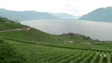 C&#039;est l&#039;été à La Télé du 18-08-10 - Lavaux