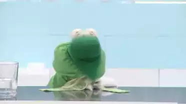 Le Journal du 10.11.10