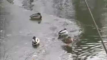 Les Nouvelles FR du 09.03.10