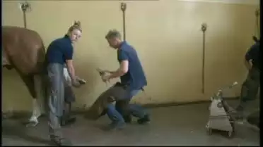 Les Nouvelles FR du 16.03.10