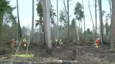 Les Nouvelles FR du 08.04.10