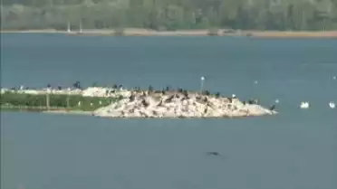 Les Nouvelles FR du 27.04.10