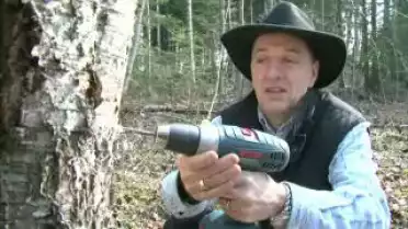 Les Nouvelles FR du 03.05.10