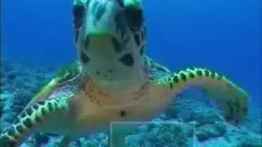 Les Nouvelles FR du 26.05.10