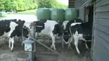 Les Nouvelles FR du 03.06.10