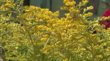 Les Nouvelles FR du 12.07.10