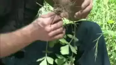 Les Nouvelles FR du 13.07.10