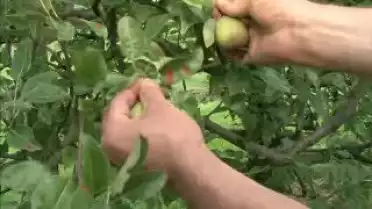 Les Nouvelles FR du 23.08.10