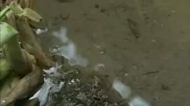 Les Nouvelles FR du 30.08.10