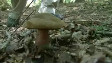 Les Nouvelles FR du 09.09.10