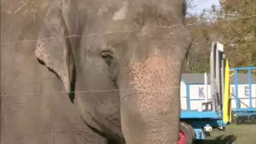 Les Nouvelles FR du 29.10.10