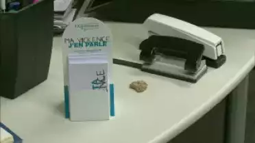 Les Nouvelles FR du 01.11.10