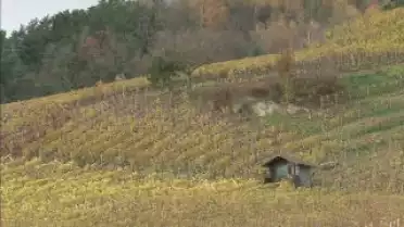 Les Nouvelles FR du 09.11.10