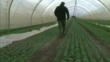 Les Nouvelles FR du 12.11.10