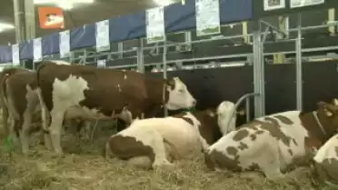 Les Nouvelles VD du 14.01.10