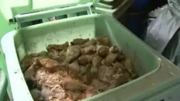 Les Nouvelles VD du 25.01.10