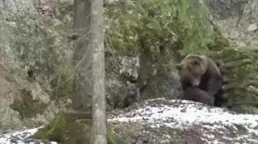 Les Nouvelles VD du 06.04.10