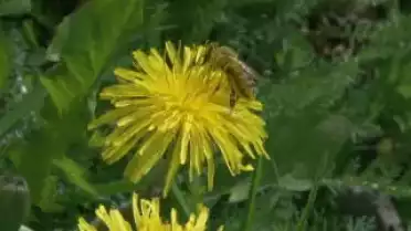 Les Nouvelles VD du 23.04.10