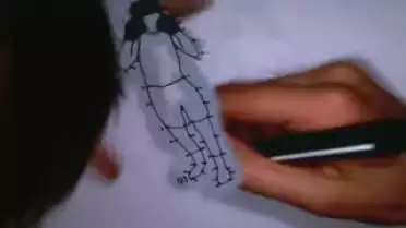 Les Nouvelles VD du 01.06.10