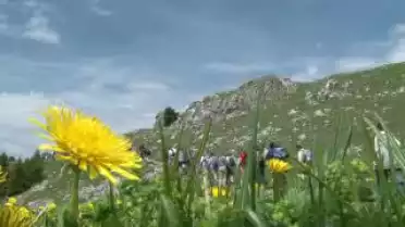Les Nouvelles VD du 10.06.10