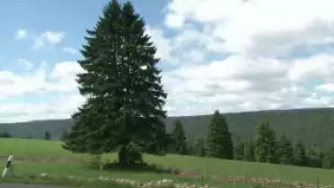 Les Nouvelles VD du 31.08.10