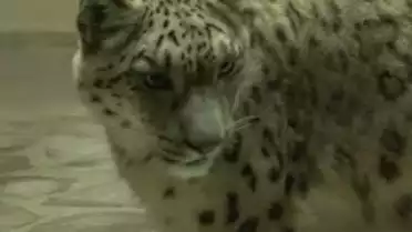 Les Nouvelles VD du 04.10.10