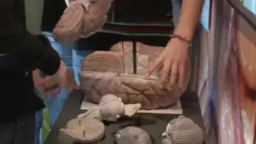 Les Nouvelles VD du 06.10.10