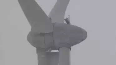 Les Nouvelles VD du 16.11.10