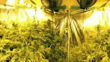 Les Nouvelles VD du 08.12.10