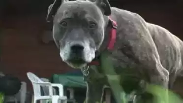 Les Nouvelles VD du 09.12.10