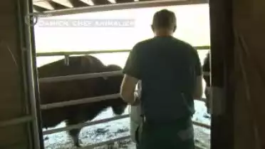 Profil - Damien, chef animalier